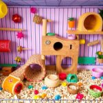 hamster cage accessories