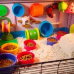 hamster cage accessories